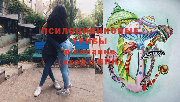 твердый Михайловск