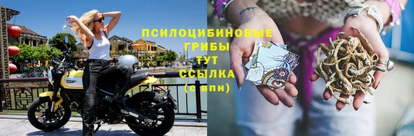 мдпв Михайловка